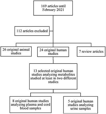 A Metabolomic Approach in Search of Neurobiomarkers of Perinatal Asphyxia: A Review of the Current Literature